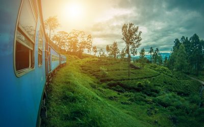 Top 5 Things to do in Sri Lanka